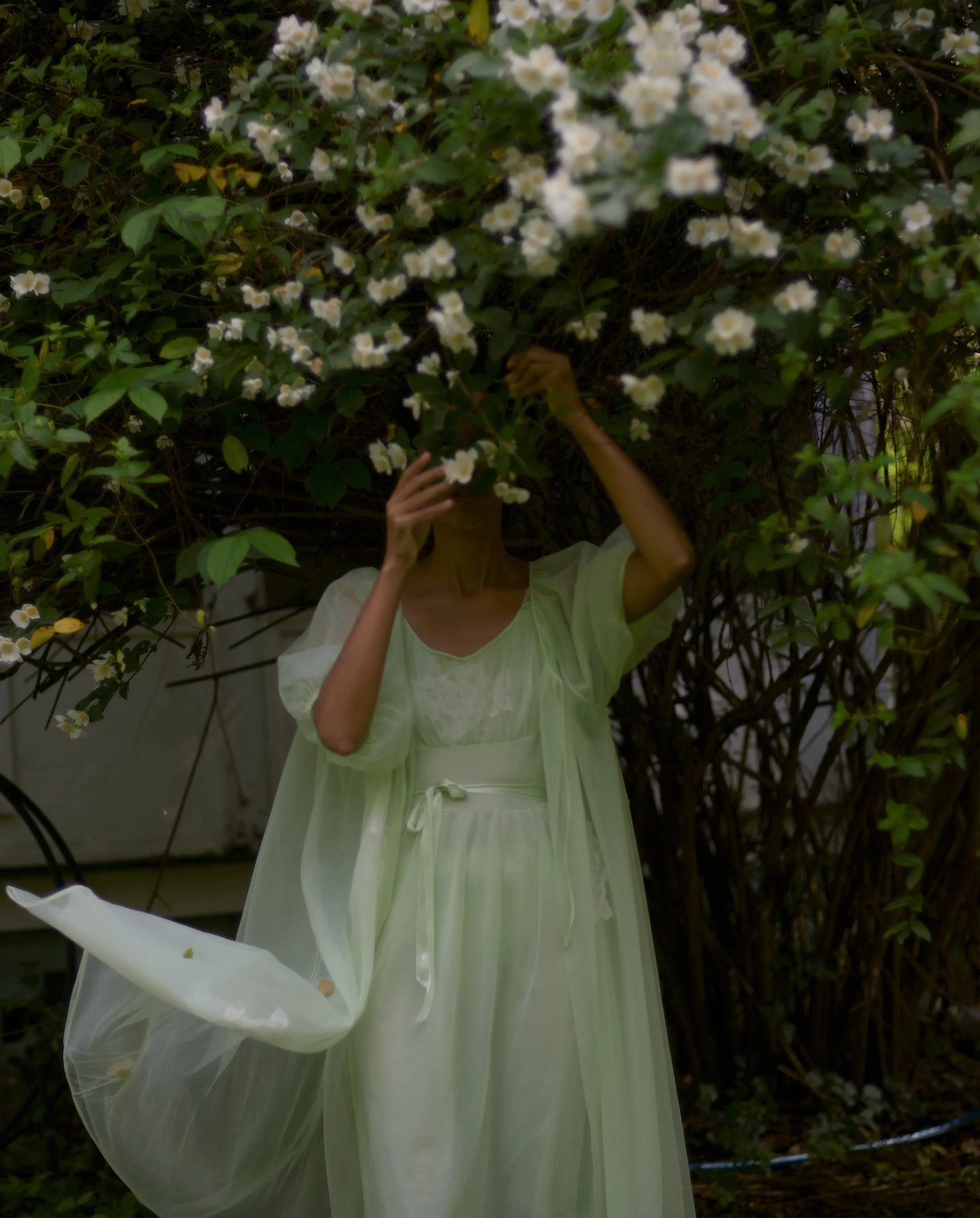 1950s pale mint chiffon peignoir set