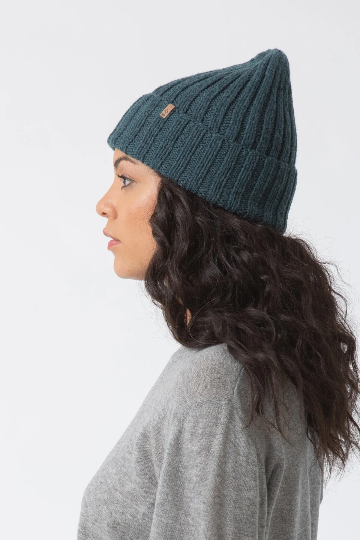 Merino Thick Rib Hat in Dragonfly Green