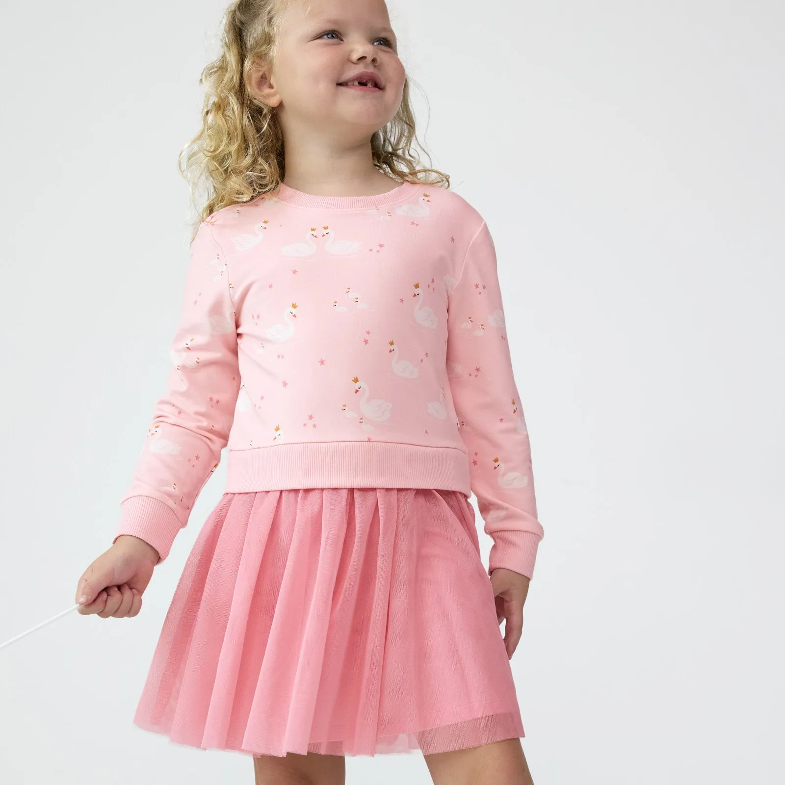 Rosy Swan Crewneck Tutu Dress