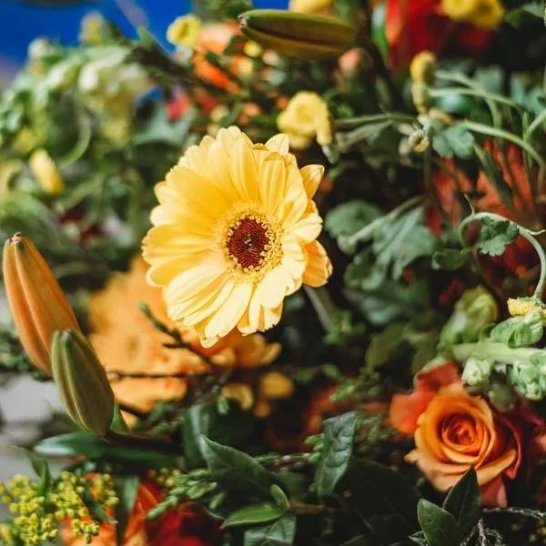 Sparkling Orange Bouquet