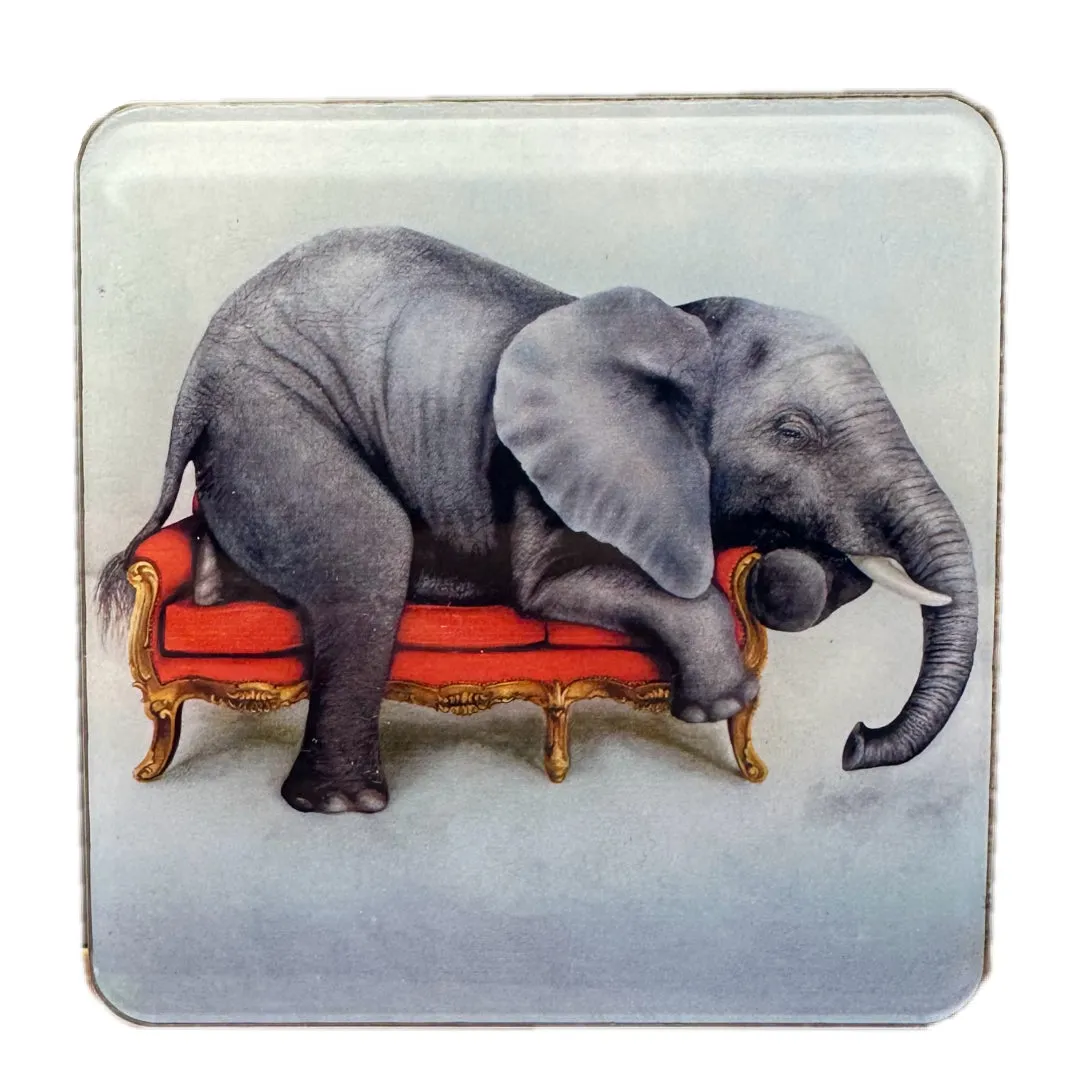 Wildlife At Leisure Elephant And Friends Coasters – Set of 4